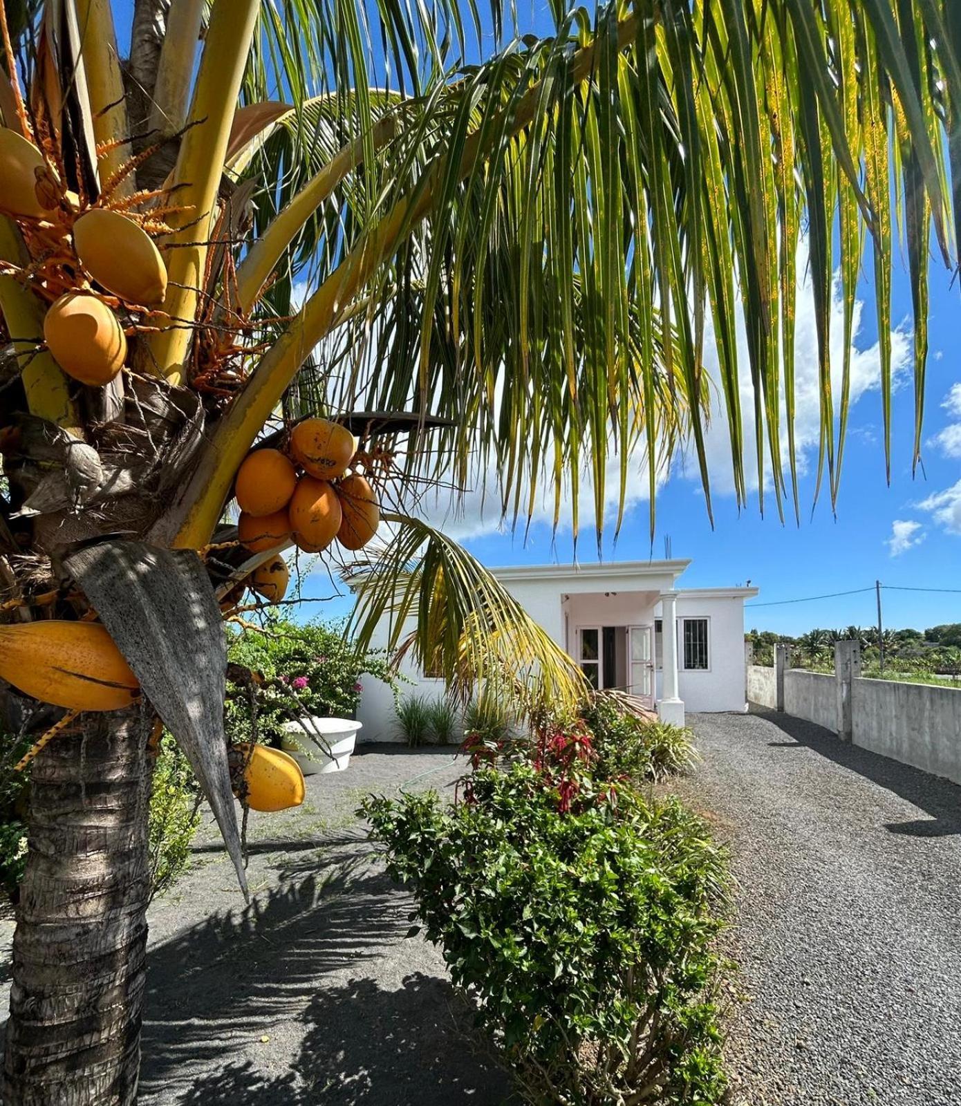 Villa Maison De Vacances Pleine Nature, Ideale Famille Argy Exterior foto